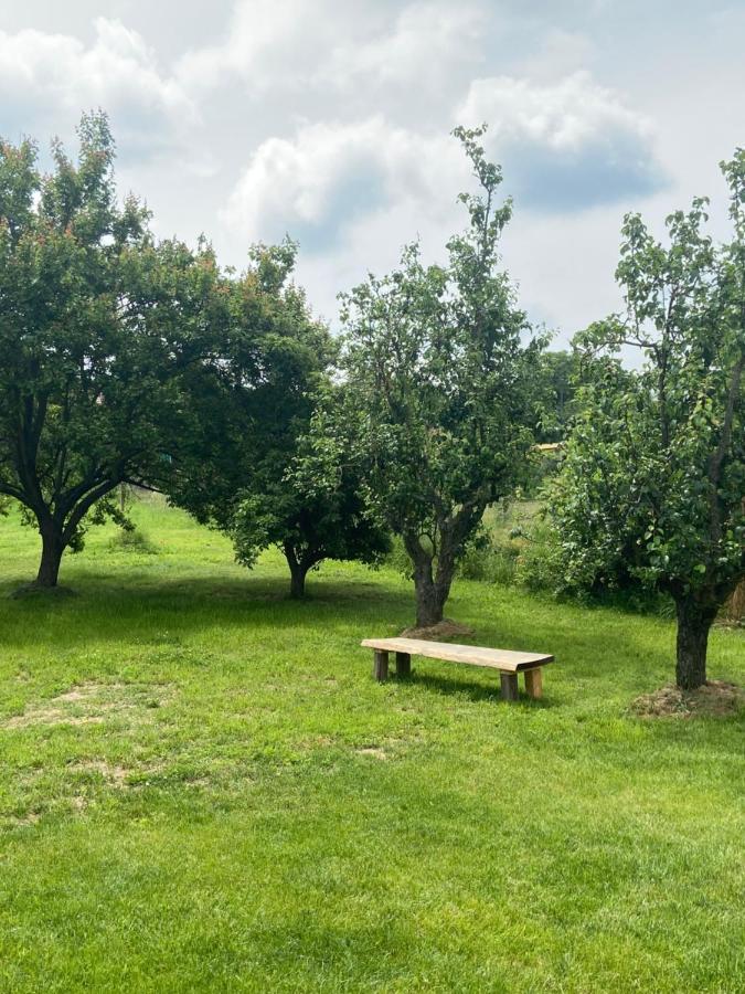 Holiday Home Znojmo W/ Wellness & Wine Екстер'єр фото